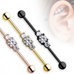 CZ Ion Plated Industrial Barbell